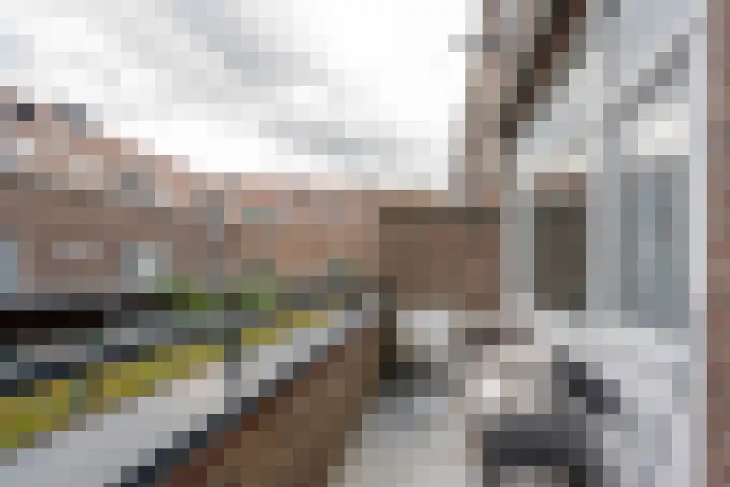 Dordtselaan 100 B Rotterdam thumbnail 14