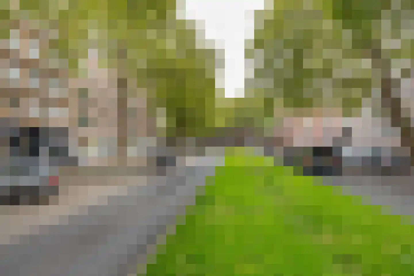 Dordtselaan 100 B Rotterdam thumbnail 20