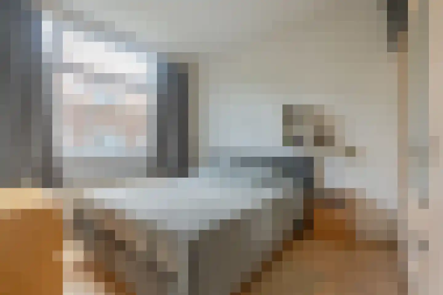 Dordtselaan 100 B Rotterdam thumbnail 4