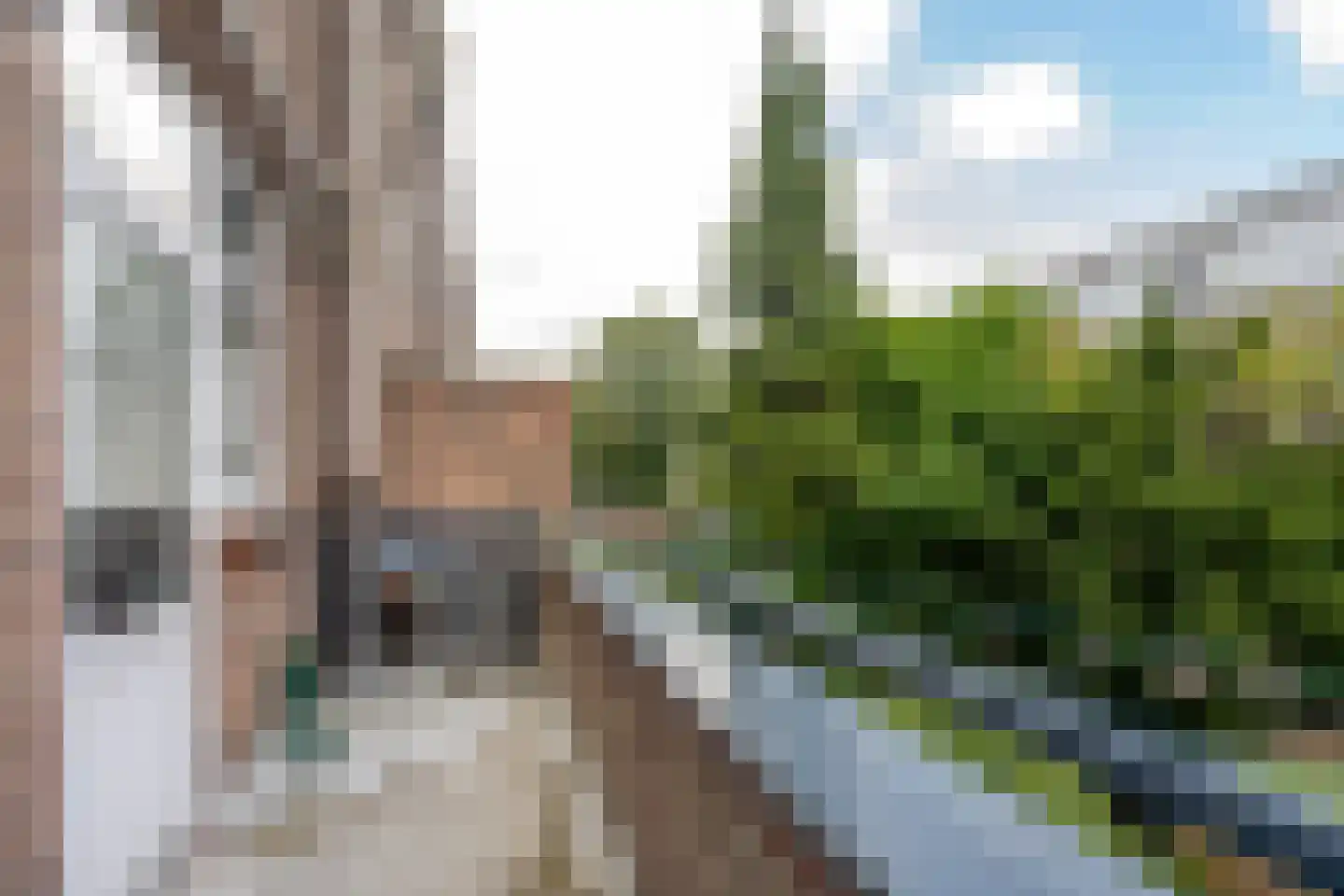 Dordtselaan 100 B Rotterdam thumbnail 5