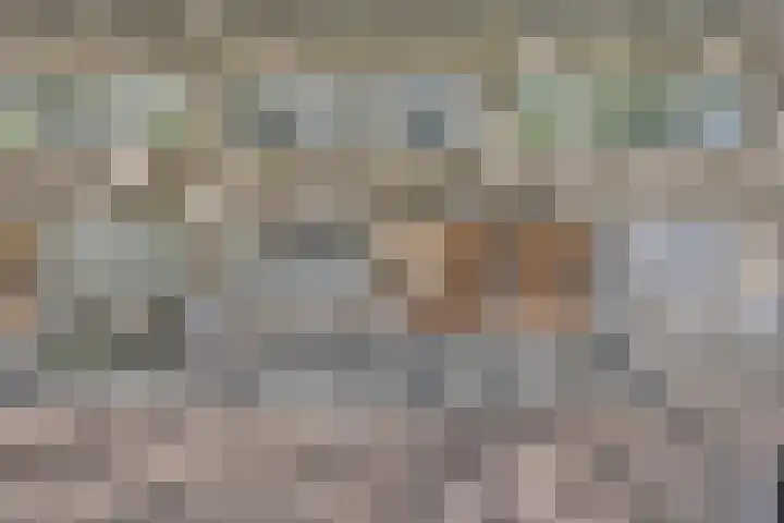 Dordtselaan 121 A 03 in Rotterdam