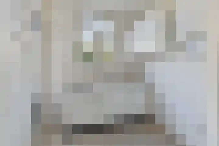 Dordtselaan 121 A 03 Rotterdam thumbnail 14