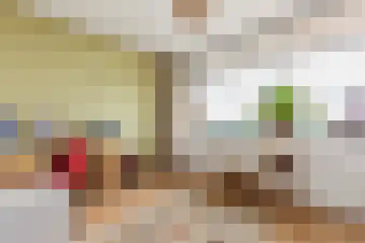 Dordtselaan 121 A 03 Rotterdam thumbnail 15
