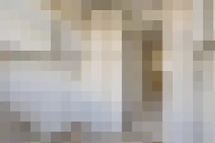 Dordtselaan 121 A 03 Rotterdam thumbnail 15
