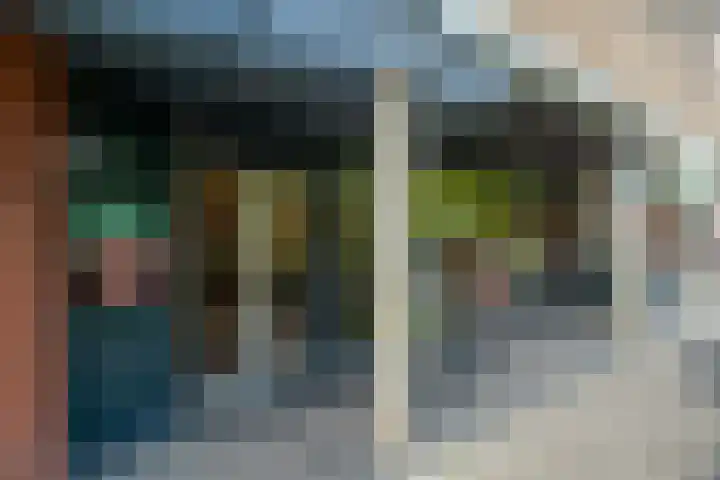 Dordtselaan 121 A 03 Rotterdam thumbnail 19
