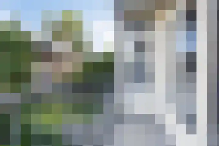 Dordtselaan 121 A 03 Rotterdam thumbnail 20