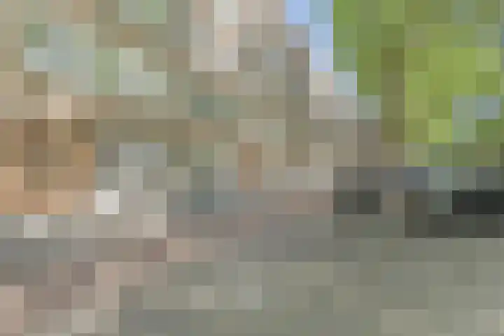 Dordtselaan 121 A 03 Rotterdam thumbnail 21