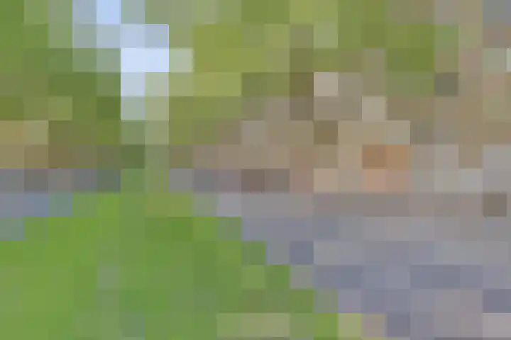 Dordtselaan 121 A 03 Rotterdam thumbnail 22
