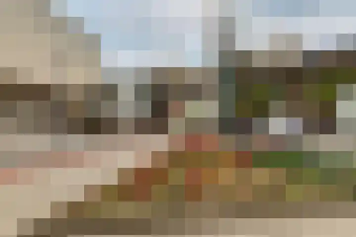 Dordtselaan 121 A 03 Rotterdam thumbnail 25
