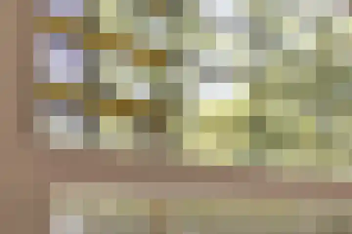 Dordtselaan 121 A 03 Rotterdam thumbnail 4