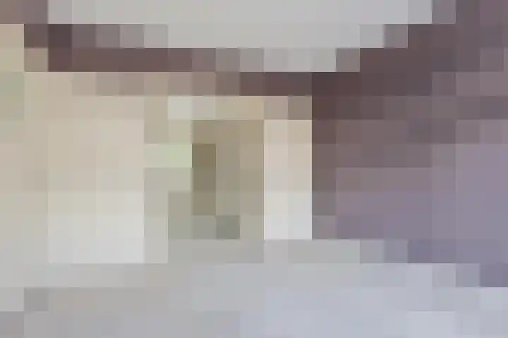 Dordtselaan 121 A 03 Rotterdam thumbnail 7