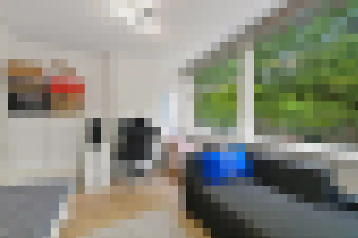 Dordtselaan 123 B 03 Rotterdam thumbnail 11