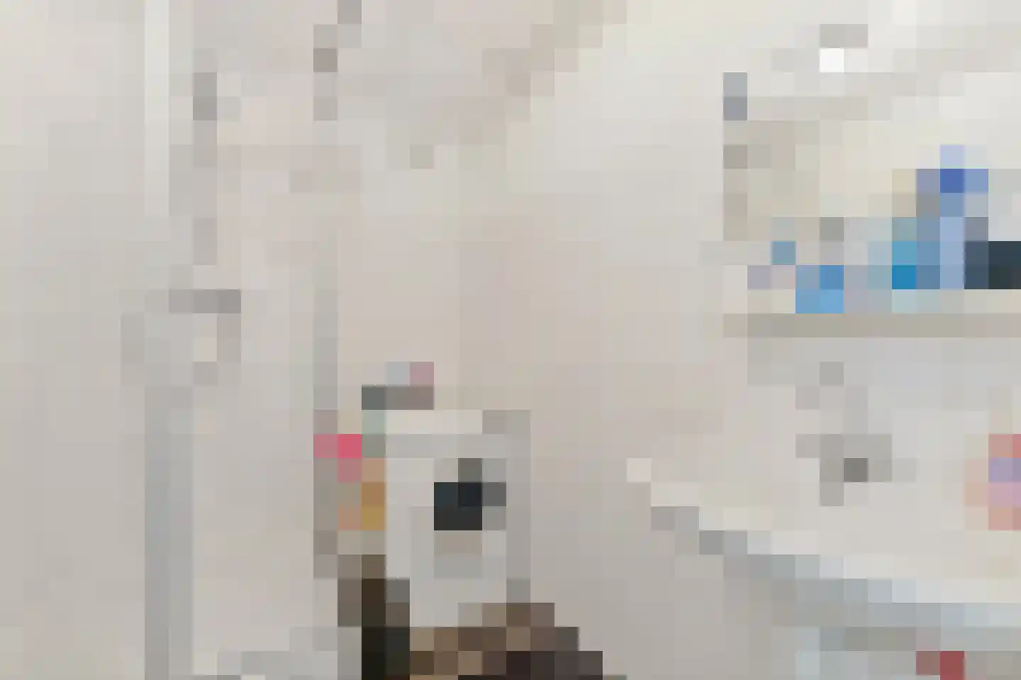 Dordtselaan 123 B 03 Rotterdam thumbnail 22