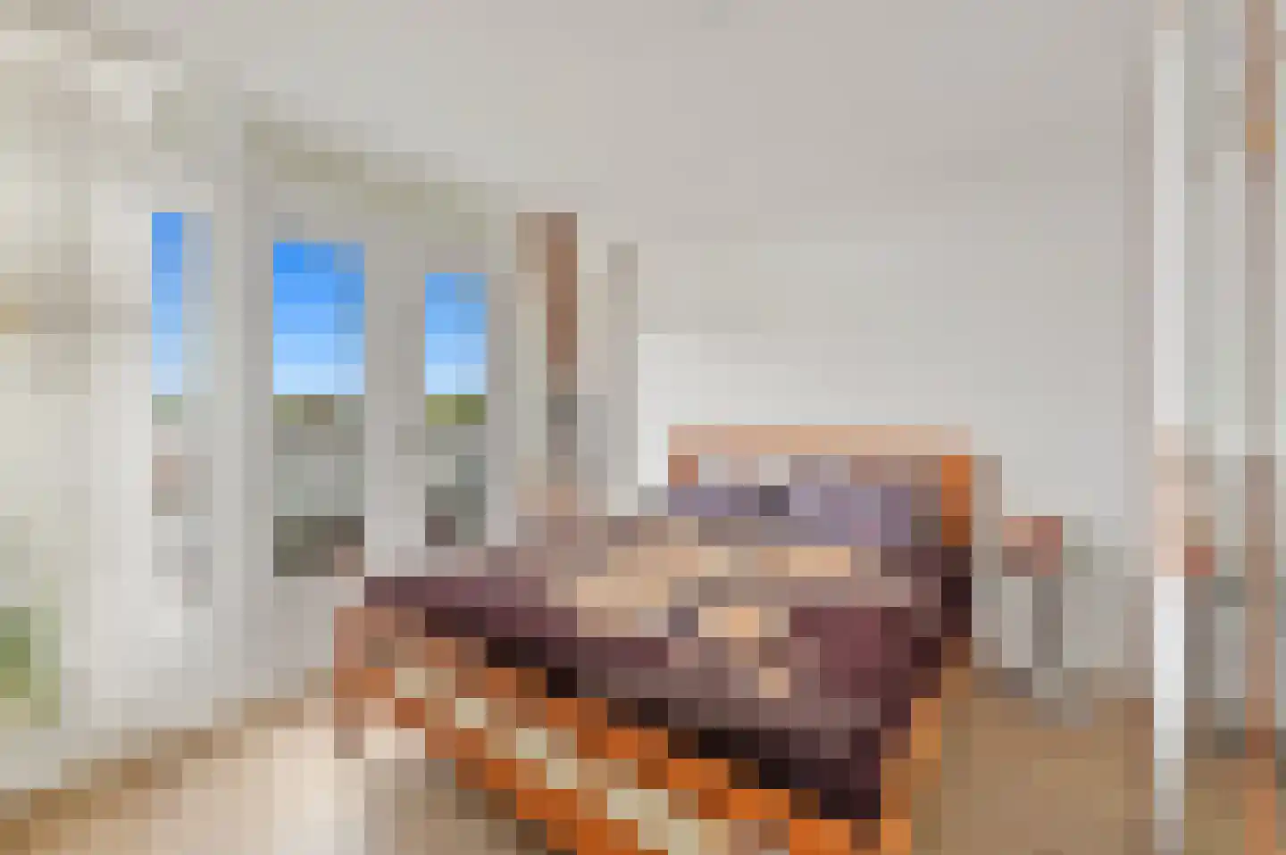 Dordtselaan 123 B 03 Rotterdam thumbnail 29