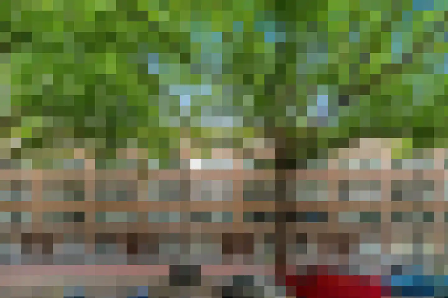 Dordtselaan 123 B 03 Rotterdam thumbnail 35