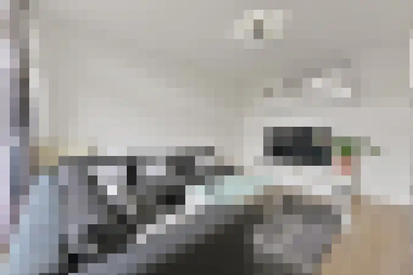 Dordtselaan 123 B 03 Rotterdam thumbnail 4