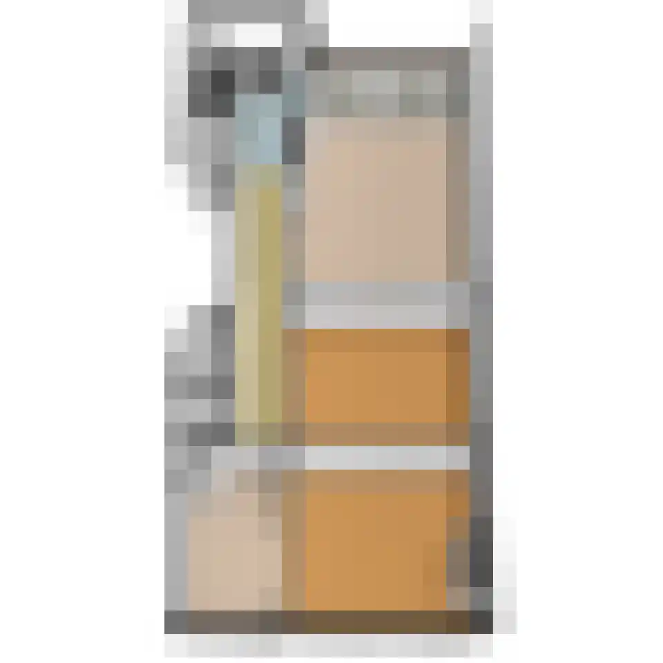 Dordtselaan 123 B 03 Rotterdam thumbnail 42
