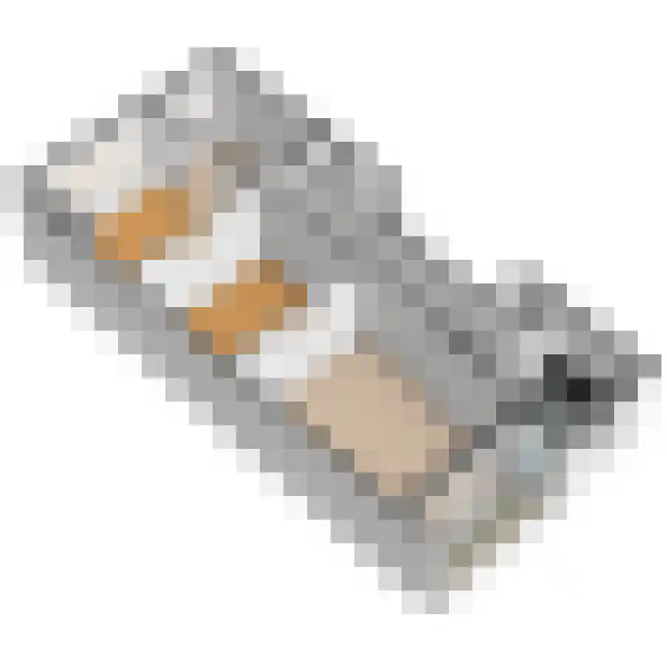 Dordtselaan 123 B 03 Rotterdam thumbnail 43