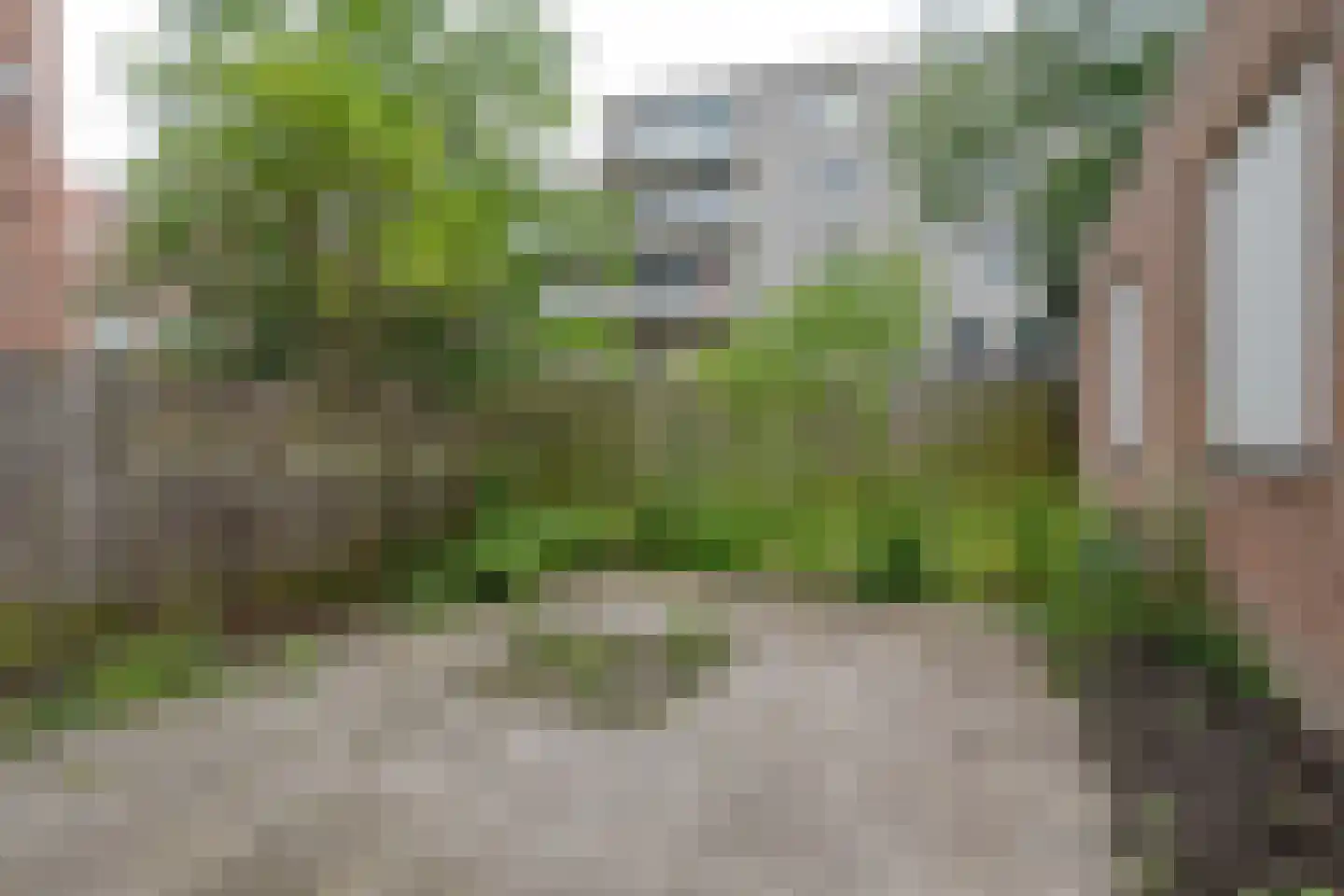 Dordtselaan 128 B Rotterdam thumbnail 5
