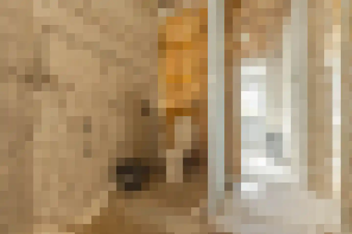 Dordtselaan 128 D Rotterdam thumbnail 11