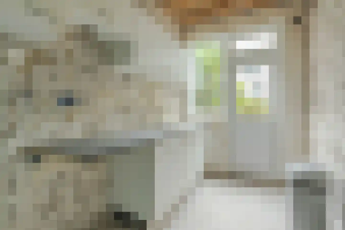 Dordtselaan 128 D Rotterdam thumbnail 4