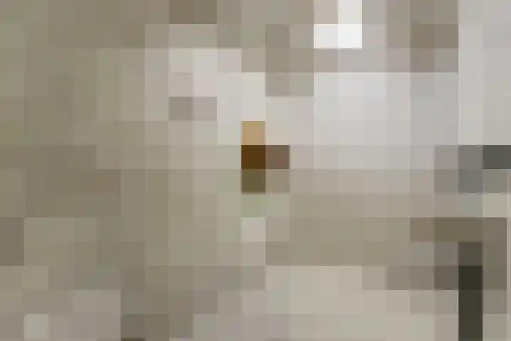 Dordtselaan 129 B BG Rotterdam thumbnail 16