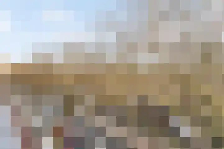 Dordtselaan 129 B BG Rotterdam thumbnail 19