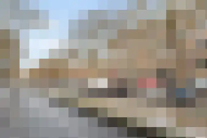 Dordtselaan 129 B BG Rotterdam thumbnail 20