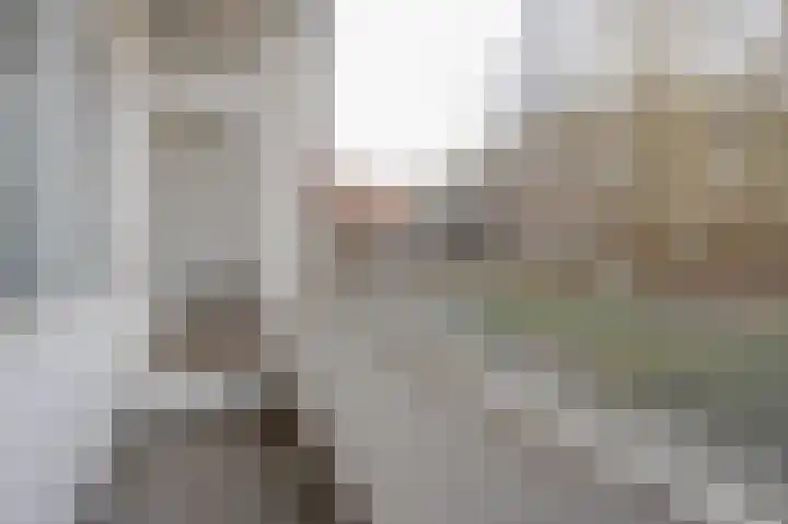 Dordtselaan 132 B Rotterdam thumbnail 18