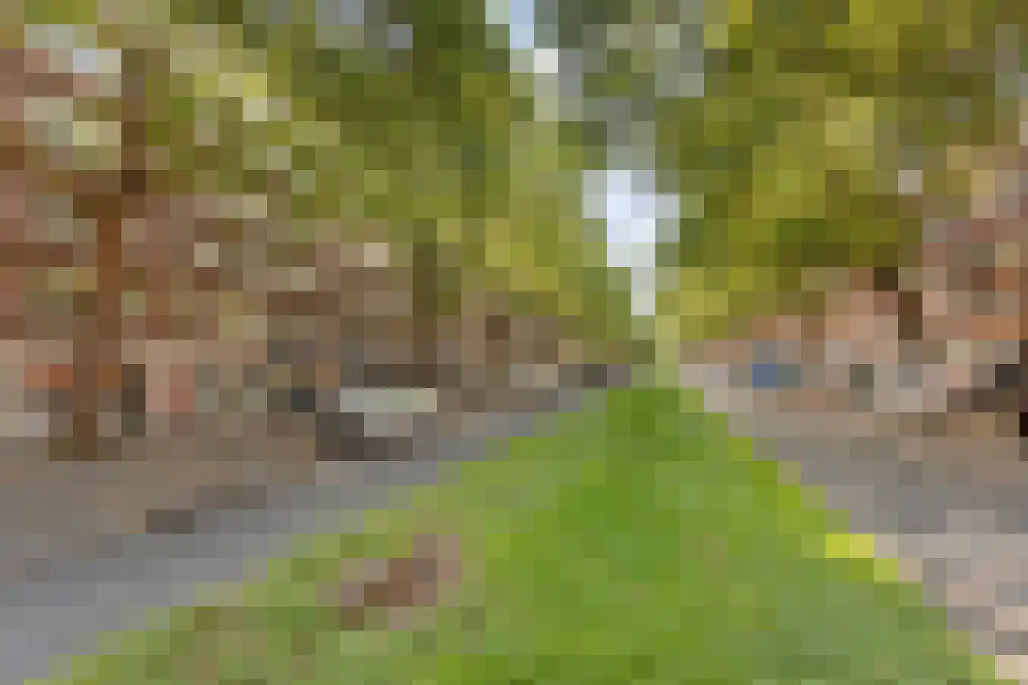 Dordtselaan 134 C Rotterdam thumbnail 23