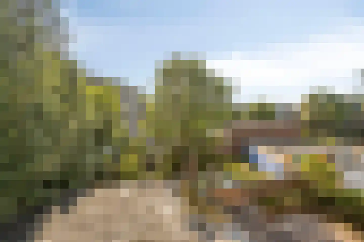 Dordtselaan 134 C Rotterdam thumbnail 26