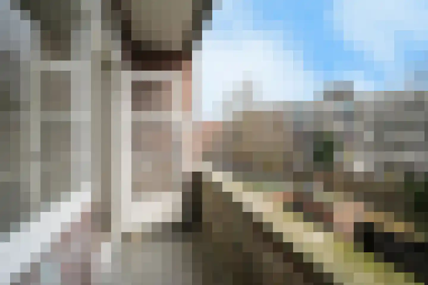 Dordtselaan 138 B Rotterdam thumbnail 23