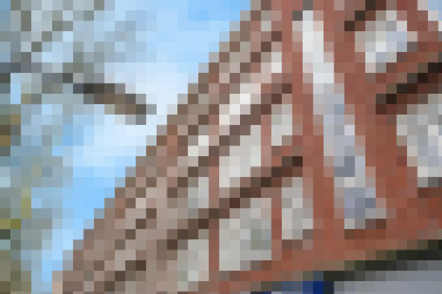 Dordtselaan 138 D Rotterdam thumbnail 26
