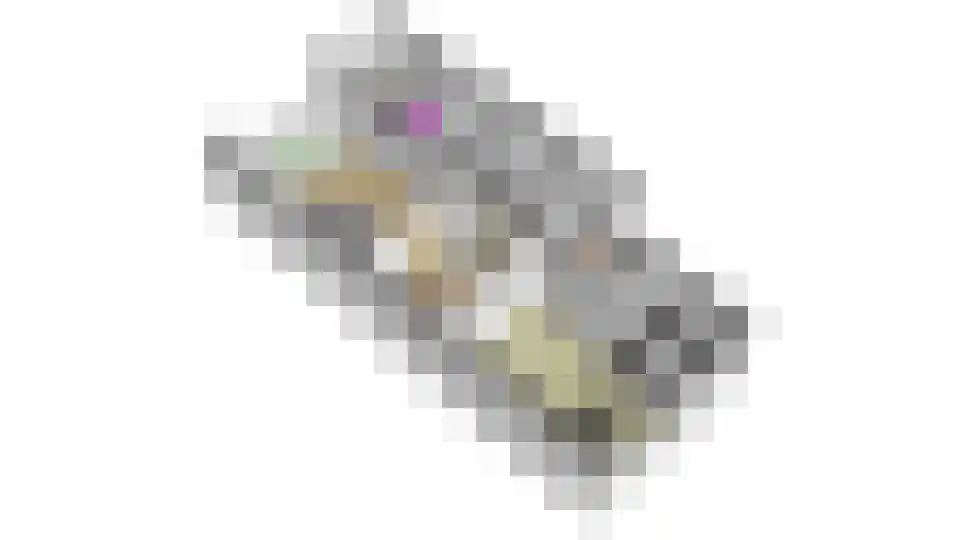 Dordtselaan 138 D Rotterdam thumbnail 27