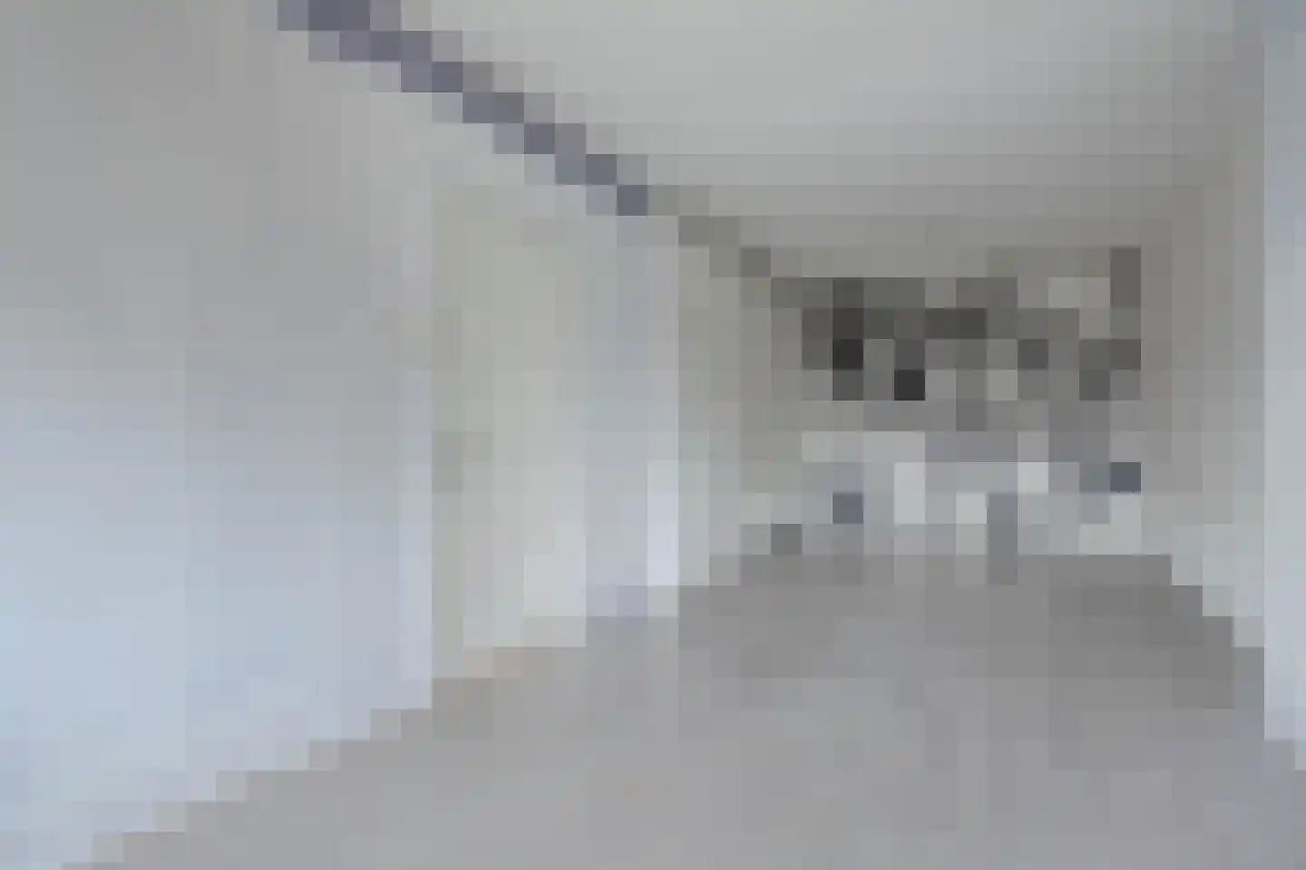 Dordtselaan 142 A Rotterdam thumbnail 14