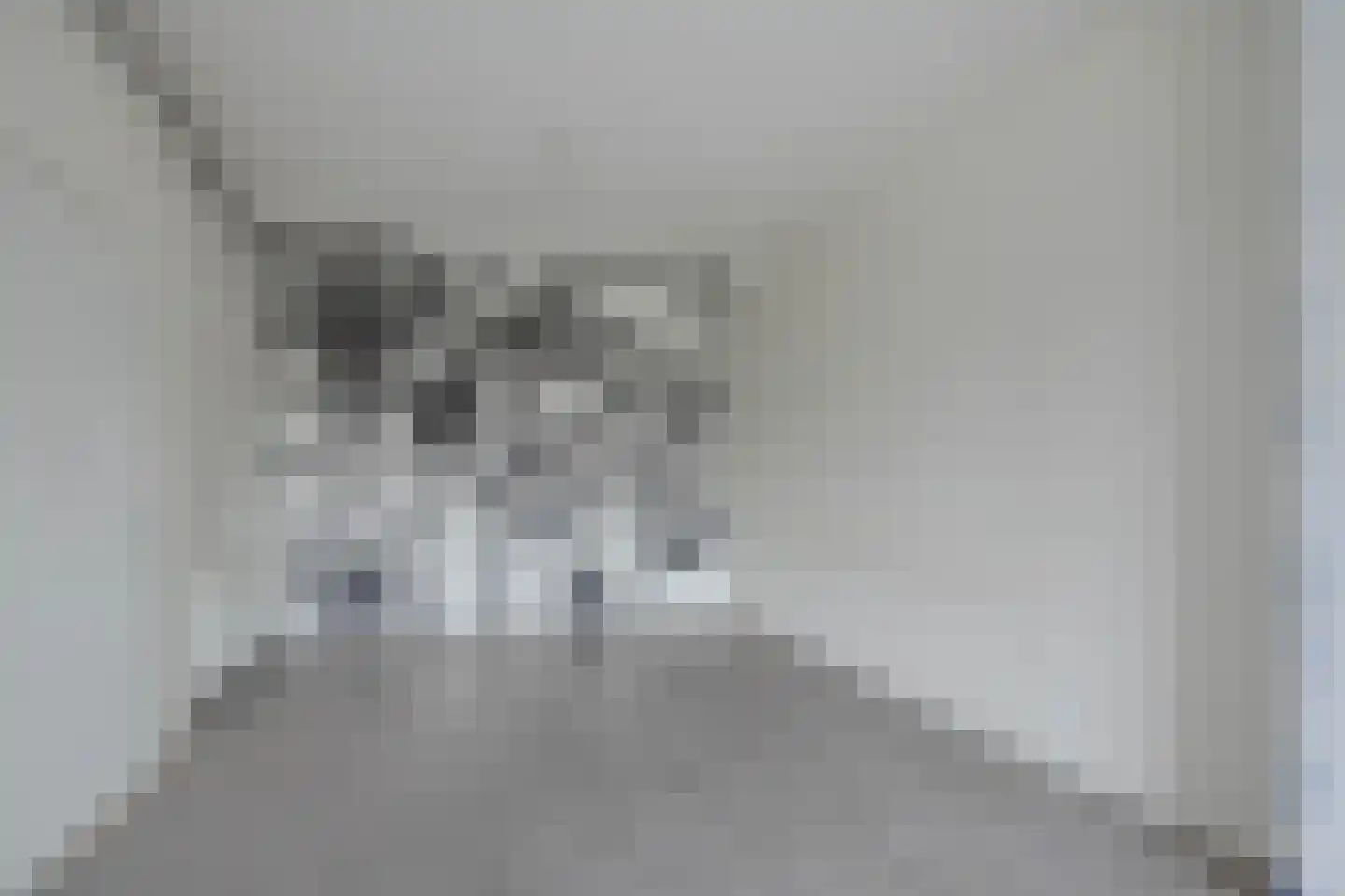 Dordtselaan 142 A Rotterdam thumbnail 15