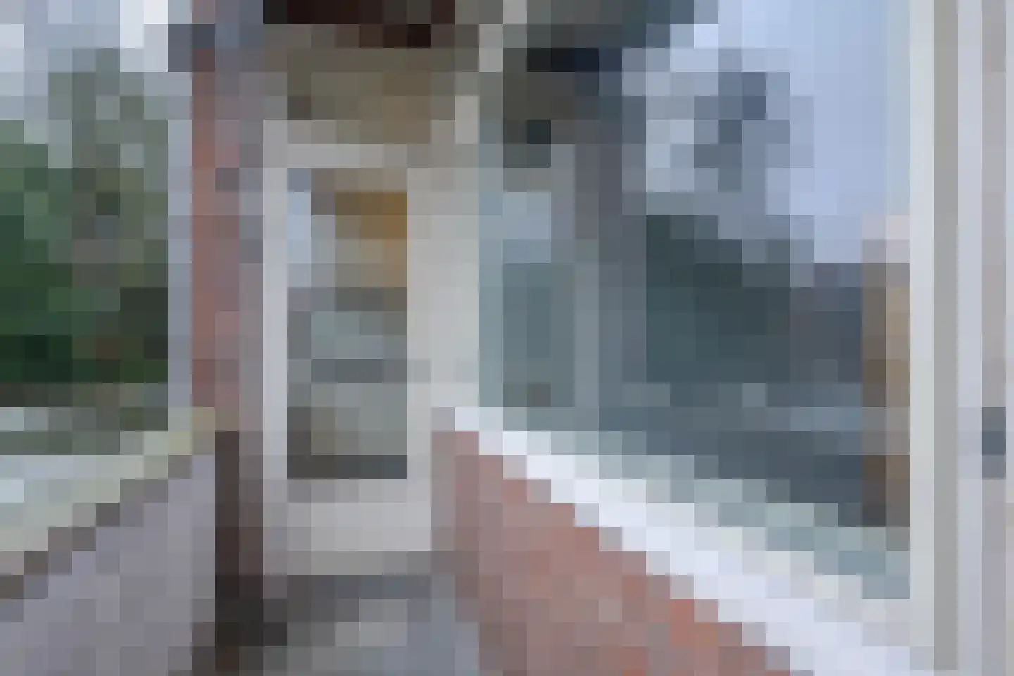 Dordtselaan 142 A Rotterdam thumbnail 4