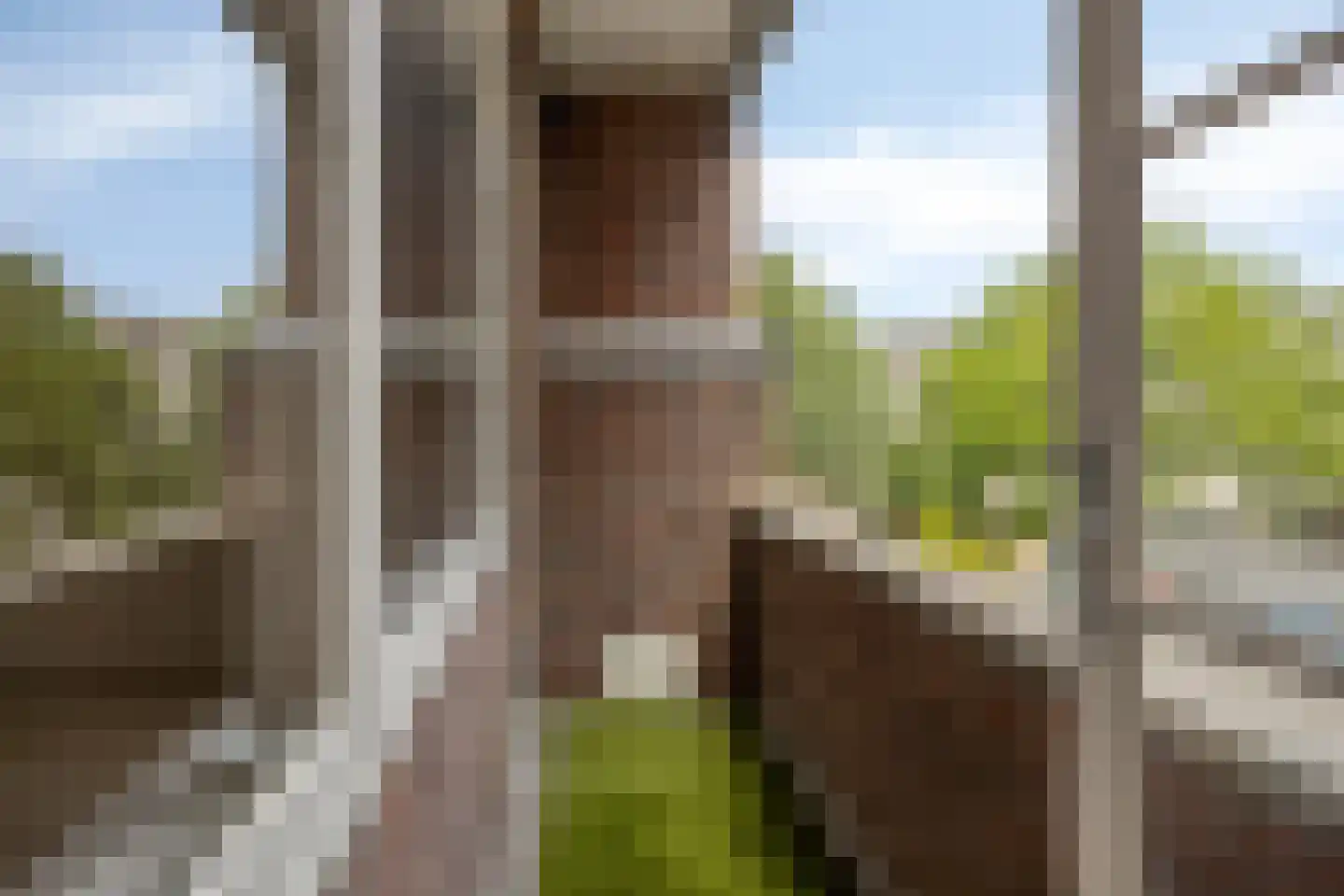 Dordtselaan 146 C Rotterdam thumbnail 30