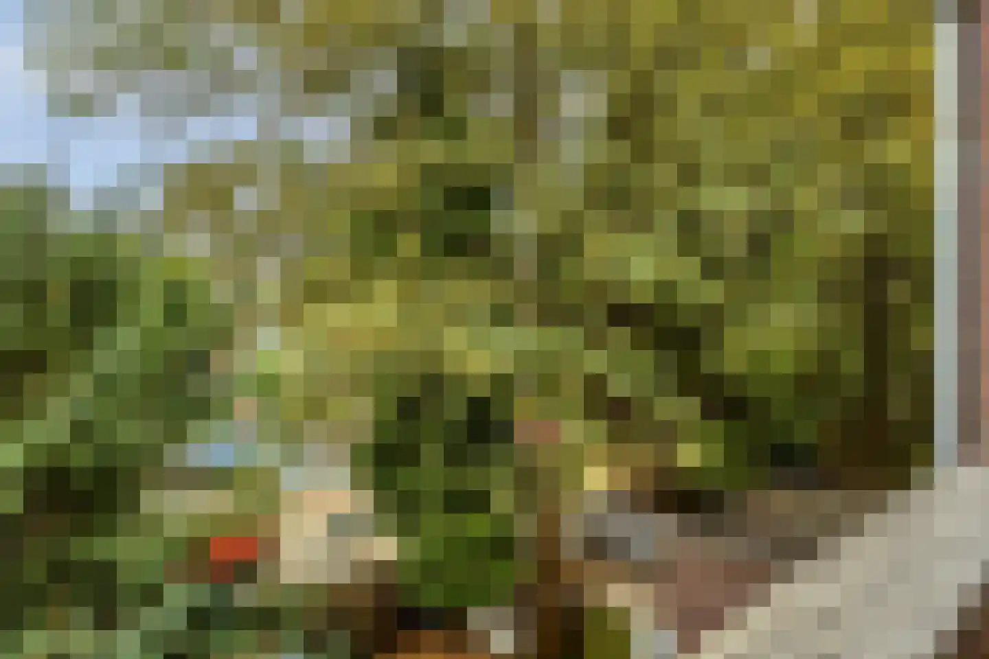 Dordtselaan 146 C Rotterdam thumbnail 31