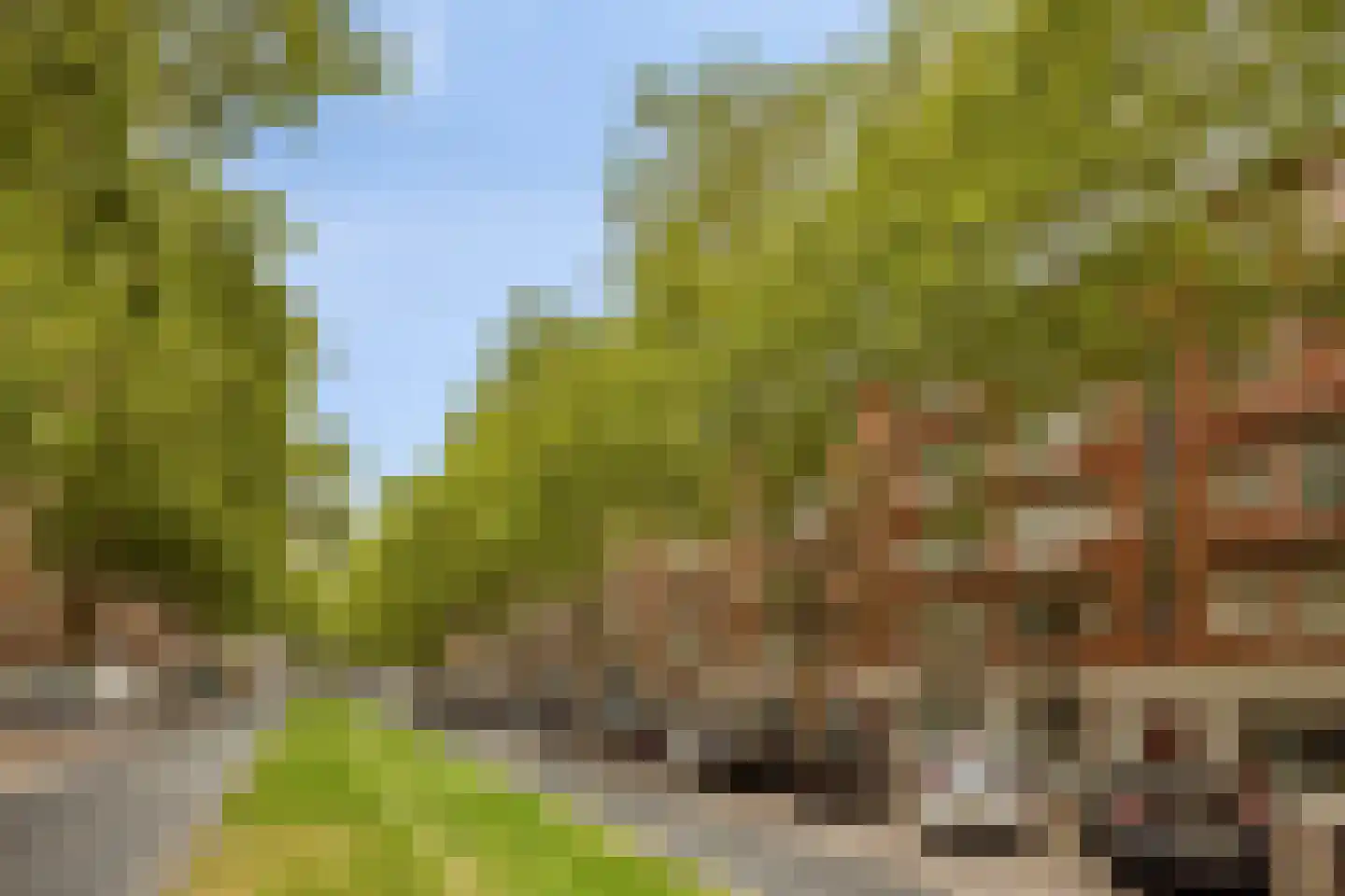 Dordtselaan 146 C Rotterdam thumbnail 32