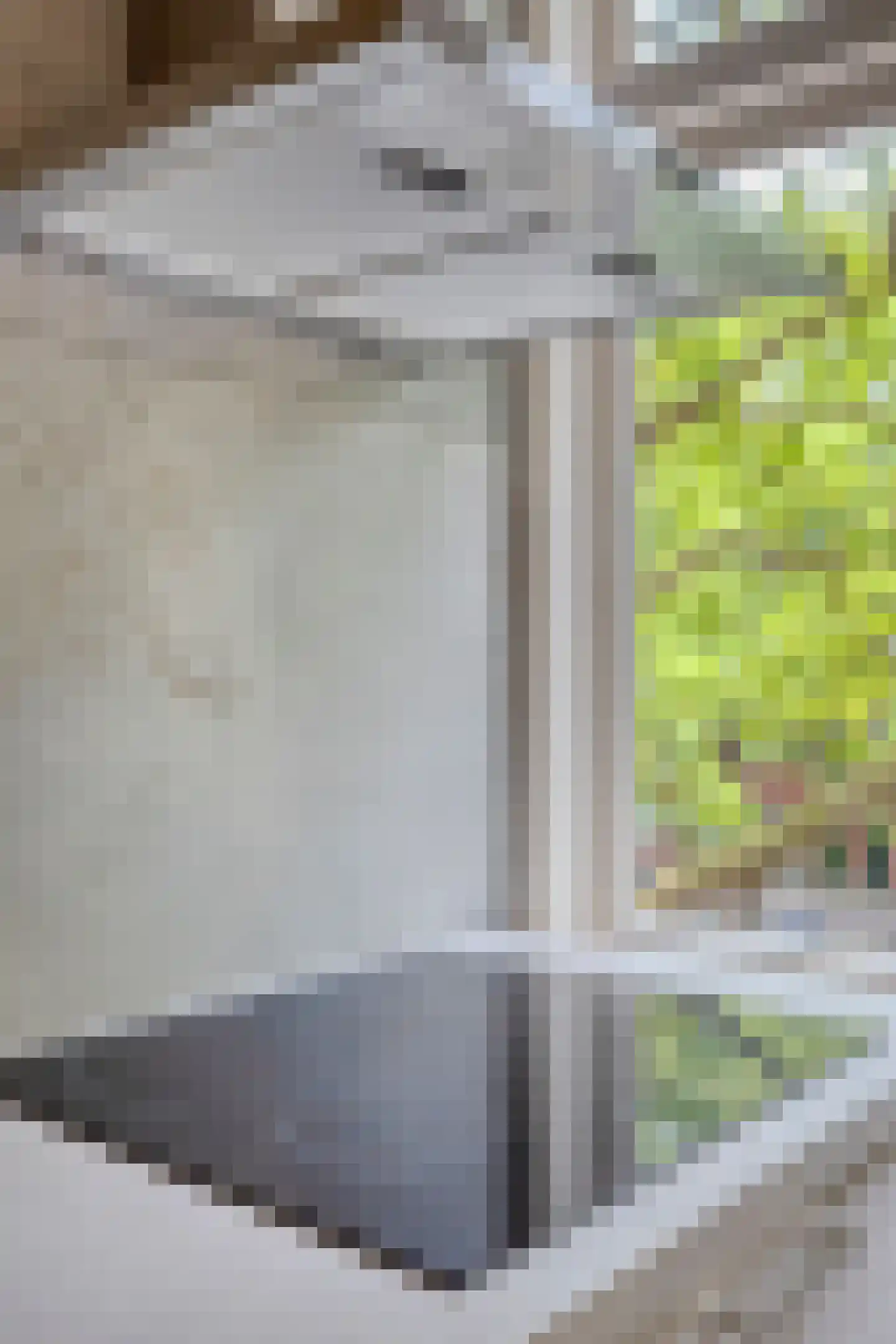 Dordtselaan 146 C Rotterdam thumbnail 9