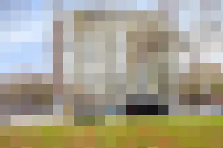 Dordtselaan 15 C Rotterdam thumbnail 12