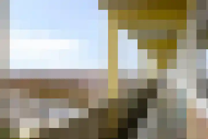 Dordtselaan 15 C Rotterdam thumbnail 18