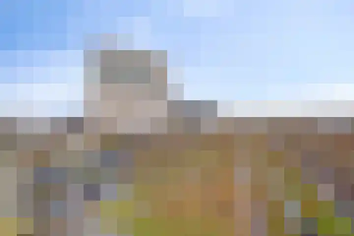 Dordtselaan 15 C Rotterdam thumbnail 23