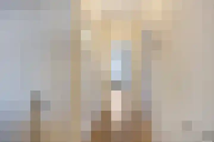 Dordtselaan 15 C Rotterdam thumbnail 4