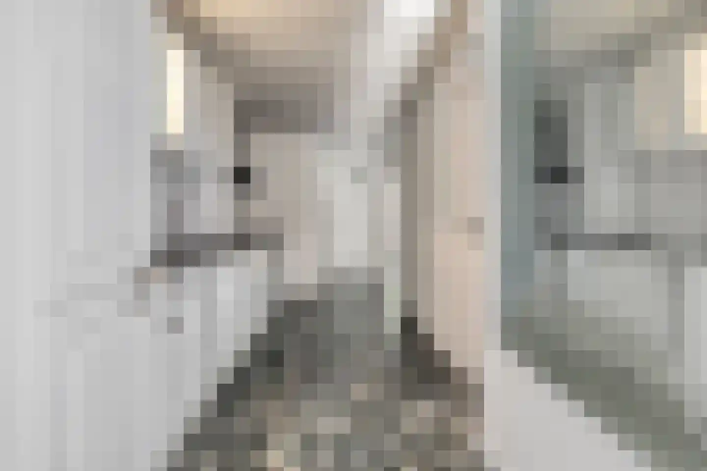 Dordtselaan 150 A Rotterdam thumbnail 12