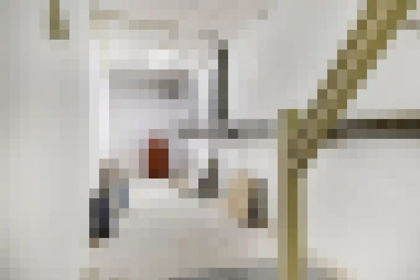 Dordtselaan 150 A Rotterdam thumbnail 24