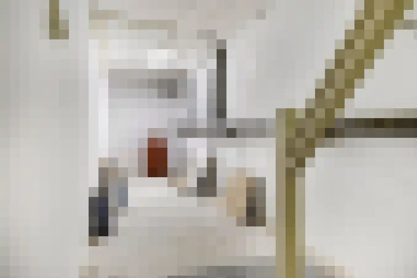 Dordtselaan 150 A Rotterdam thumbnail 25