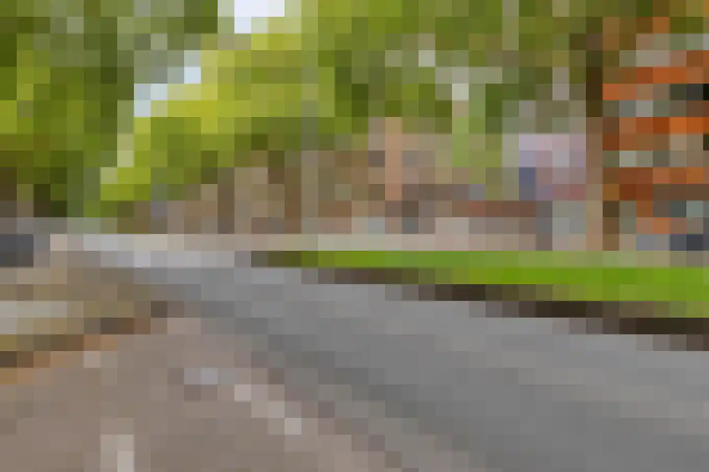 Dordtselaan 150 A Rotterdam thumbnail 29