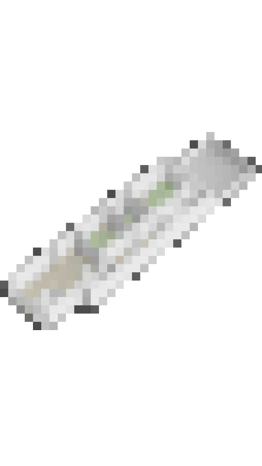 Dordtselaan 150 A Rotterdam thumbnail 33